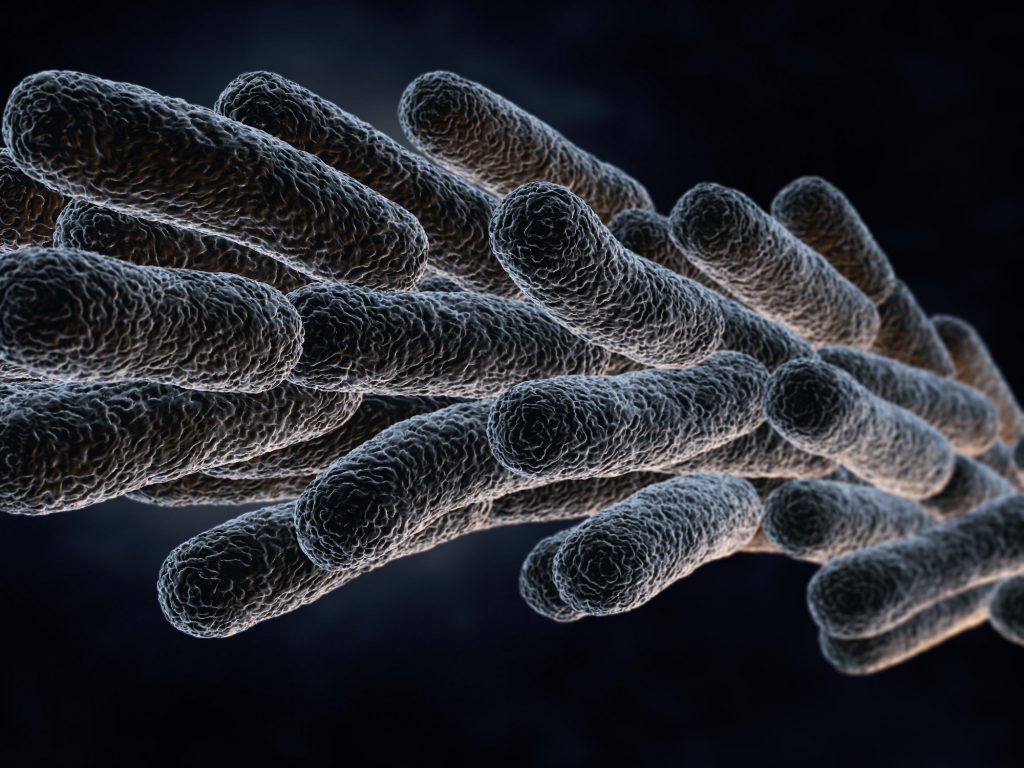 The Dangers of Legionella Contamination in Your Water Supply