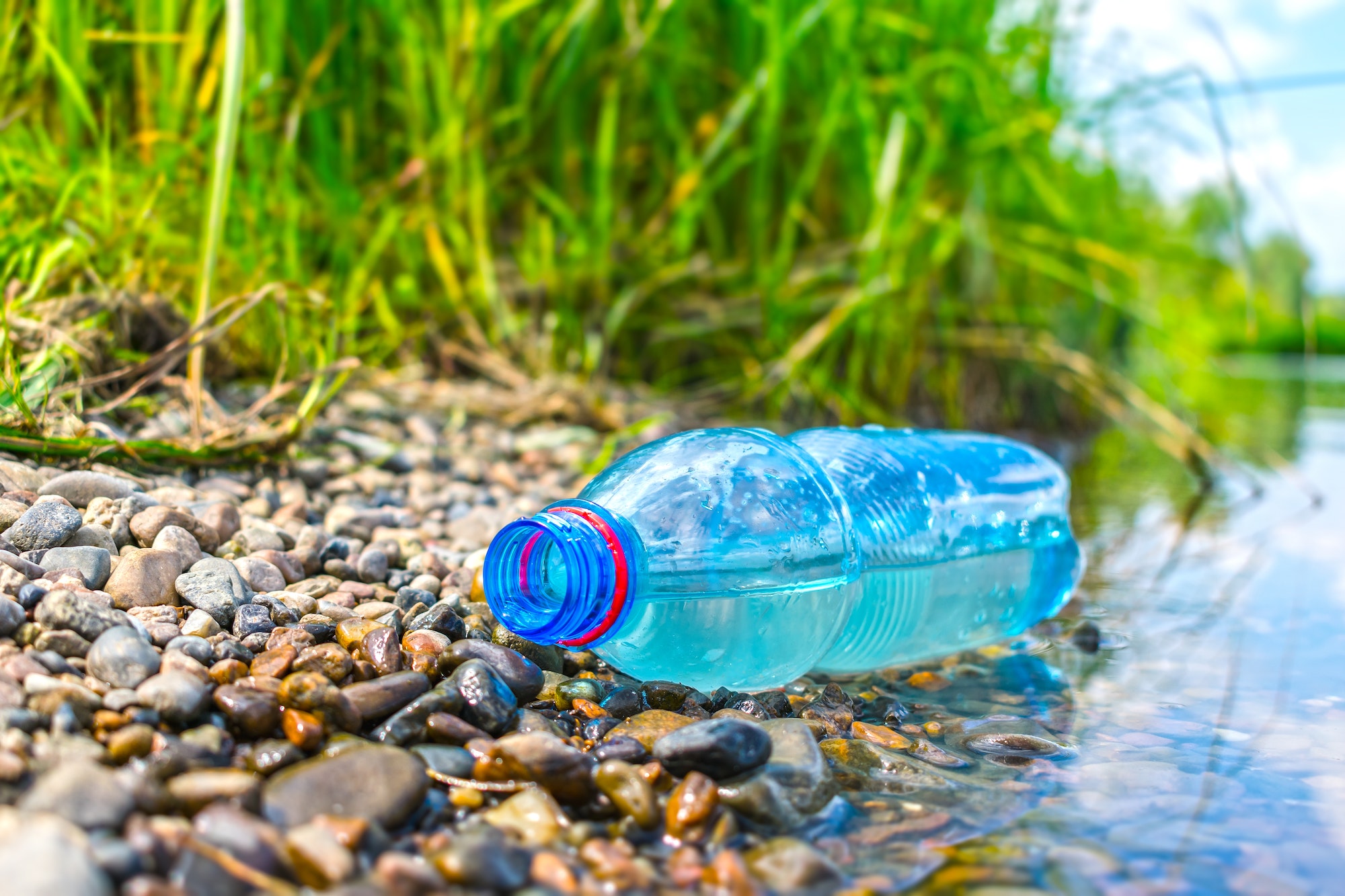 The Dark Side of Bottled Water: Environmental Impact and Health Risks